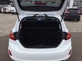 Daumennagel 17 - Ford Fiesta 1.0 EcoBoost S&S TITANIUM Winter-Paket