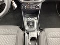 Daumennagel 11 - Ford Fiesta 1.0 EcoBoost S&S TITANIUM Winter-Paket