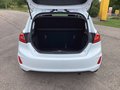 Daumennagel 18 - Ford Fiesta 1.0 EcoBoost S&S TITANIUM Winter-Paket