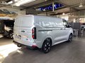 Daumennagel 3 - Ford Transit Custom 320 L1H1 LKW VA PHEV Trend AHK