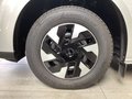 Daumennagel 4 - Ford Transit Custom 320 L1H1 LKW VA PHEV Trend AHK