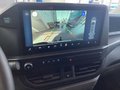 Daumennagel 9 - Ford Transit Custom 320 L1H1 LKW VA PHEV Trend AHK
