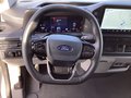Daumennagel 9 - Ford Transit Custom 320 L1H1 LKW VA PHEV Trend AHK
