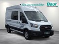 Daumennagel 2 - Ford Transit 350 L3H3 Lkw VA Trend Navi AHK Klima