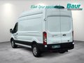 Daumennagel 3 - Ford Transit 350 L3H3 Lkw VA Trend Navi AHK Klima