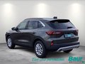 Daumennagel 4 - Ford Kuga 2.5 Duratec PHEV TITANIUM Winter-Paket LED