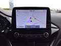 Daumennagel 11 - Ford Fiesta 1.0 EcoBoost Hybrid S&S TITANIUM X Navi