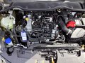 Daumennagel 16 - Ford Fiesta 1.0 EcoBoost Hybrid S&S TITANIUM X Navi