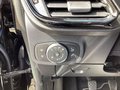 Daumennagel 18 - Ford Fiesta 1.0 EcoBoost Hybrid S&S TITANIUM X Navi