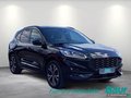 Daumennagel 2 - Ford Kuga 2.5 Duratec PHEV ST-LINE X AHK NAVI LED
