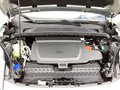 Daumennagel 15 - Ford Puma 43 kWh Gen-E LED Kamera Navi Winter-Paket