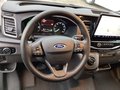 Daumennagel 10 - Ford e-Transit 350 L2H2 Lkw HA Trend NAVI/Pro Power