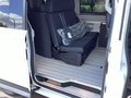 Daumennagel 14 - Ford Tourneo Custom Nugget 320L1 4x4 Autm. Active