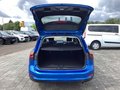 Daumennagel 17 - Ford Focus Turnier 1.0 EcoBoost Hybrid Aut. TITANIUM