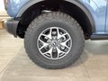 Daumennagel 12 - Ford Bronco 2.7V6 Badlands