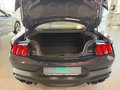 Daumennagel 17 - Ford Mustang Fastback 5.0 Ti-VCT V8 Aut. Dark Horse