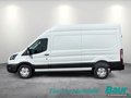 Daumennagel 3 - Ford Transit 350L3H3 Lkw VA Trend Seitenw.verkl.hoch