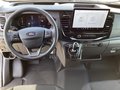 Daumennagel 8 - Ford Transit 350L3H3 Lkw VA Trend Seitenw.verkl.hoch