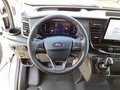 Daumennagel 9 - Ford Transit 350L3H3 Lkw VA Trend Seitenw.verkl.hoch