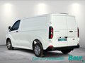 Daumennagel 4 - Ford Transit Custom 280 L1H1 LKW VA Trend Trennw.Met