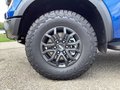 Daumennagel 5 - Ford Ranger 2,0 l EcoBlue Doppelkabine Autm. Raptor