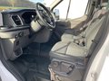 Daumennagel 13 - Ford Transit 350 L4 VA Trend Kofferaufbau Junge
