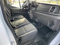 Daumennagel 14 - Ford Transit 350 L4 VA Trend Kofferaufbau Junge