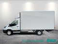 Daumennagel 3 - Ford Transit 350 L4 VA Trend Kofferaufbau Junge