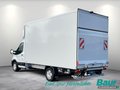 Daumennagel 4 - Ford Transit 350 L4 VA Trend Kofferaufbau Junge
