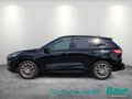 Daumennagel 3 - Ford Kuga 2.5 Duratec PHEV ST-LINE X