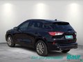 Daumennagel 4 - Ford Kuga 2.5 Duratec PHEV ST-LINE X