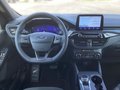 Daumennagel 6 - Ford Kuga 2.5 Duratec PHEV ST-LINE X