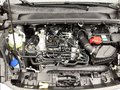Daumennagel 14 - Ford Puma 1.0 EcoBoost Hybrid ST-LINE Rückfahrkamera