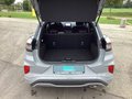 Daumennagel 17 - Ford Puma 1.0 EcoBoost Hybrid ST-LINE Rückfahrkamera