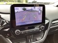 Daumennagel 14 - Ford Fiesta 1.0 EcoBoost S&S TITANIUM NAVI SHZ vo.