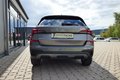 Daumennagel 3 - Skoda Kamiq Selection LED, Kamera, PDC, ALU, Carplay