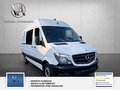 Daumennagel 11 - Mercedes-Benz Sprinter II Kasten 2 Hand Sortimo Schranksystem Navigation 313/314/316 CDI