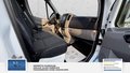 Daumennagel 4 - Mercedes-Benz Sprinter II Kasten 2 Hand Sortimo Schranksystem Navigation 313/314/316 CDI