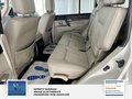 Daumennagel 22 - Mitsubishi Pajero 3.2 DI-D Instyle 7 Sitzer Leder AHK Xenon