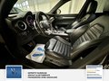 Daumennagel 16 - Alfa Romeo Stelvio Veloce Q4 1 Hand. Leder. Memory. Rückfahrkamera