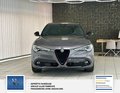 Daumennagel 22 - Alfa Romeo Stelvio Veloce Q4 1 Hand. Leder. Memory. Rückfahrkamera