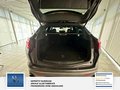 Daumennagel 23 - Alfa Romeo Stelvio Veloce Q4 1 Hand. Leder. Memory. Rückfahrkamera
