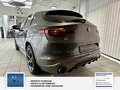 Daumennagel 8 - Alfa Romeo Stelvio Veloce Q4 1 Hand. Leder. Memory. Rückfahrkamera