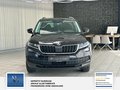 Daumennagel 2 - Skoda Kodiaq Ambition 7 Sitzer, Scheckheft, Unfallfrei