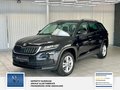 Daumennagel 4 - Skoda Kodiaq Ambition 7 Sitzer, Scheckheft, Unfallfrei