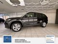 Daumennagel 5 - Skoda Kodiaq Ambition 7 Sitzer, Scheckheft, Unfallfrei