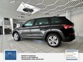 Daumennagel 6 - Skoda Kodiaq Ambition 7 Sitzer, Scheckheft, Unfallfrei