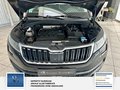 Daumennagel 25 - Skoda Kodiaq Ambition 7 Sitzer, Scheckheft, Unfallfrei