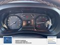 Daumennagel 12 - Opel Vivaro Kasten 1 Hand Sortimo Navigation, Rückfahrkamera Edition M