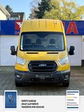 Daumennagel 2 - Ford Transit Kasten 310 L3 Trend